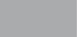 RAL 9006